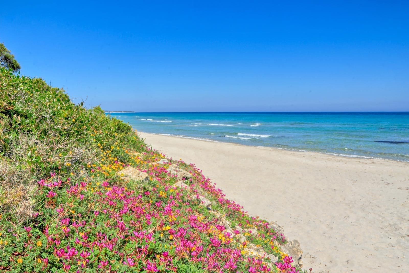 spiaggia-alimini-1